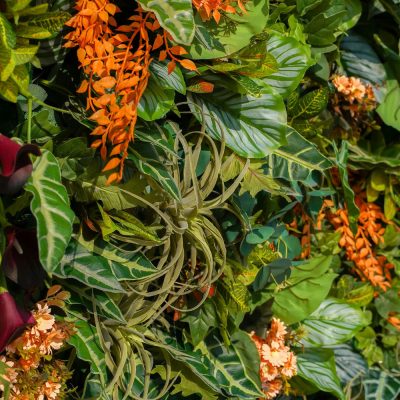 2025 New 7D Fabric Artificial rolling up curtain flower wall - Image 4