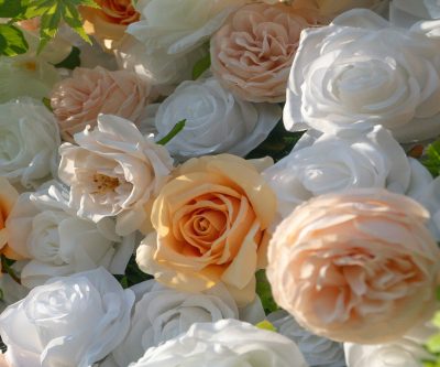 2025 New 5D Fabric Artificial rolling up curtain flower wall - Image 5