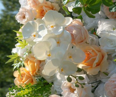 2025 New 5D Fabric Artificial rolling up curtain flower wall - Image 4