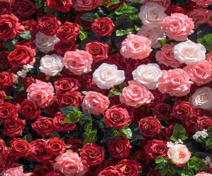 Zita£º5D Fabric Artificial rolling up curtain flower wall