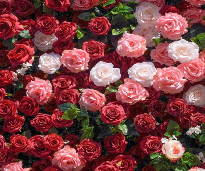 Zita£º5D Fabric Artificial rolling up curtain flower wall - Image 1