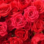 2026 NEW Luxurious  Rose Floral Arrangement Cloth Base Heart-Shaped Arch PropsArch Proposal Backdrop - Image 4