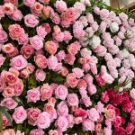 2026New 5D Fabric Artificial rolling up curtain flower wall - Image 2
