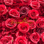 2026 New 4D Fabric Artificial rolling up curtain flower wall - Image 2