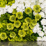 2026 New 5D Fabric Artificial rolling up curtain flower wall - Image 2