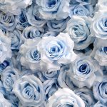 2026New 5D Fabric Artificial rolling up curtain flower wall - Image 2